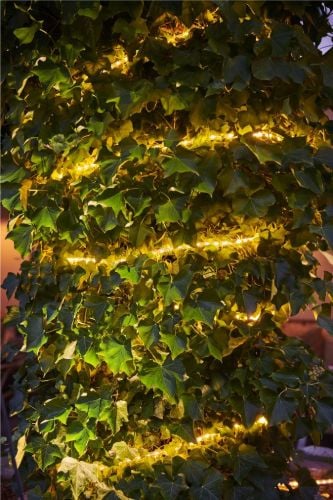 Sirius Tech-Line Ropelight Start Set 300 LED Lys