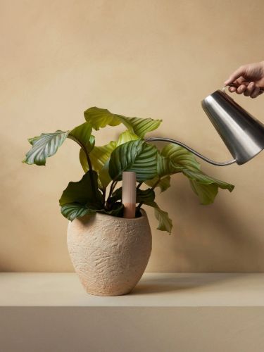 Audo Copenhagen Hydrous Watering Stick 2 Stk H: 36 cm - Ashen