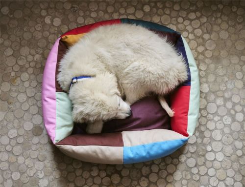 HAY Hundebett klein 21 x 52 x 60 cm – Multi