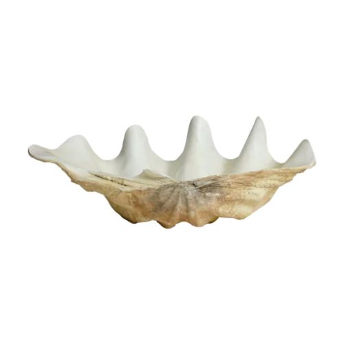 Nordal Kichi Muslingeskal Til Dekoration L: 52 cm - Beige 