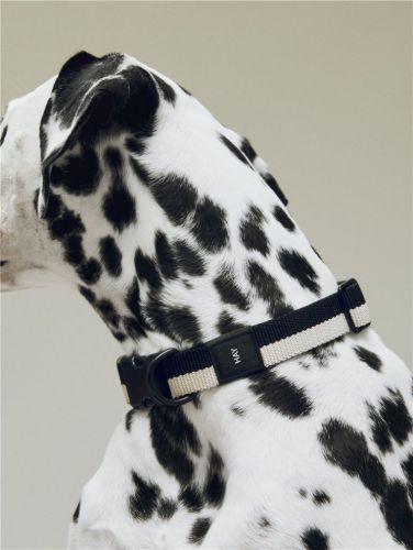 HAY Hundehalsband Flach M/L: 65 cm - Schwarz/Weiß