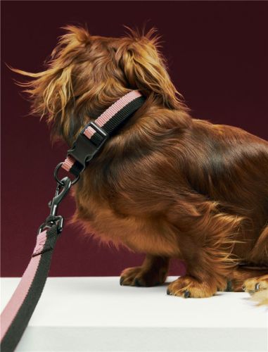 HAY Hundehalsband Flach M/L: 65 cm - Rosa/Schwarz