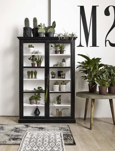 Nordal Classic Vitrine 142 x 212 cm - Ulmenholz / Glas