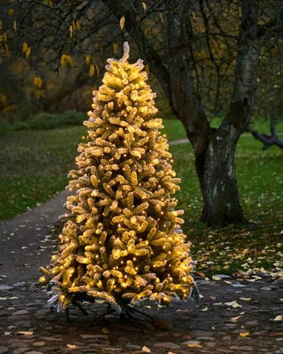 Sirius Anton Weihnachtsbaum mit 273 LED-Lichtern – H: 2,1 m