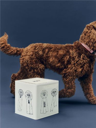 HAY Hundefutter-Aufbewahrung 22x22 cm Groß - Blau/Weiß